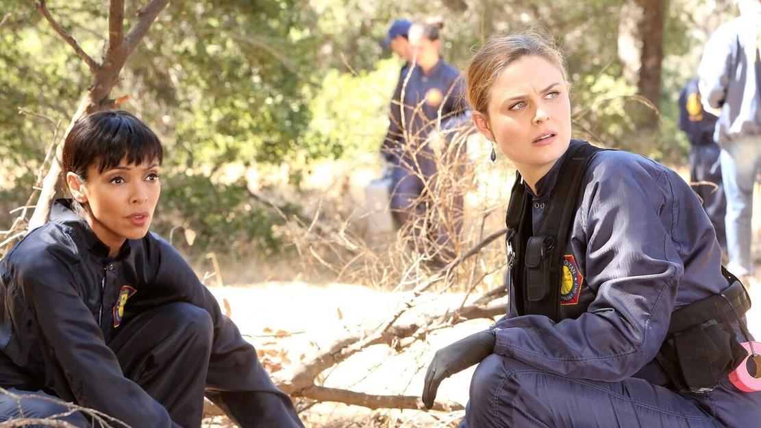 Vignette du programme télé Bones