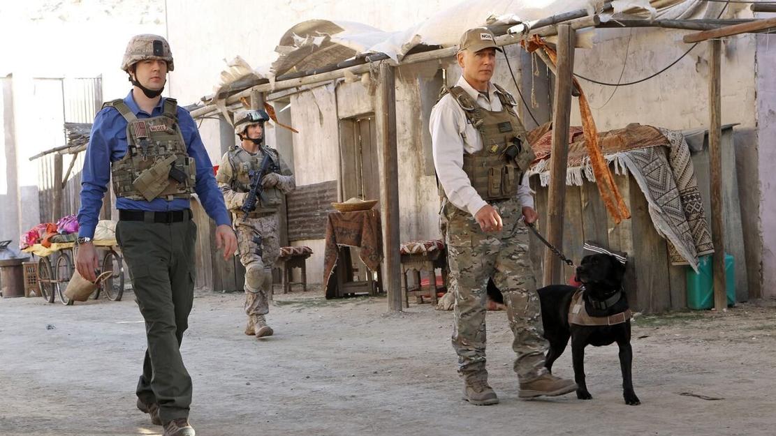 Vignette du programme télé NCIS