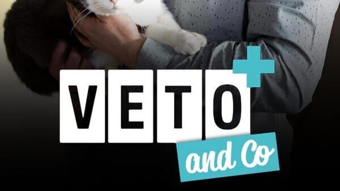 Vignette du programme télé Véto & Co