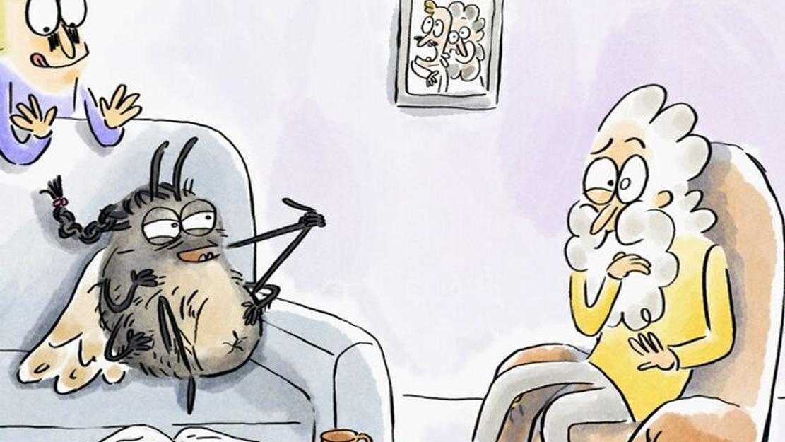 Vignette du programme télé Tu mourras moins bête