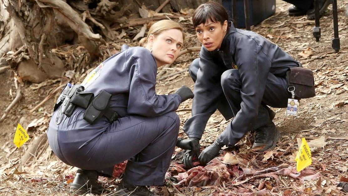 Vignette du programme télé Bones