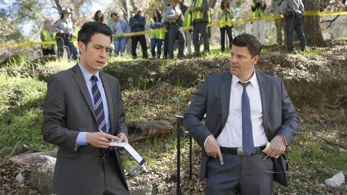 Vignette du programme télé Bones