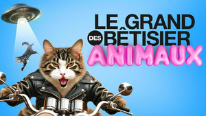 Vignette du programme télé Le grand bêtisier des animaux S1