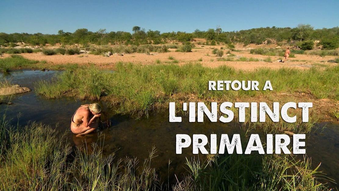 Vignette du programme télé Retour à l'instinct primaire : Restons groupés
