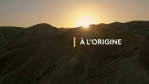 Vignette du programme télé A l'origine