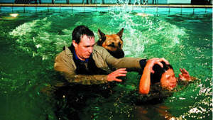 Vignette du programme télé Rex, chien flic (Promotion) S5 (1/13)
