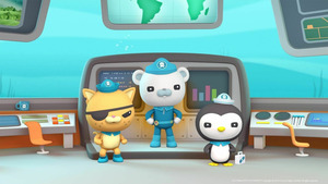 Vignette du programme télé Les Octonauts (Les Octonauts et les bébés morses) S4 (5/26)