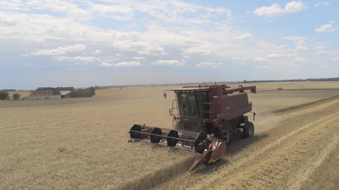 Vignette du programme télé Mécaniques agricoles