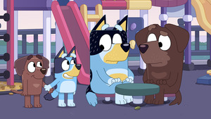 Vignette du programme télé Bluey (L'école de natation) S2 (34/52)
