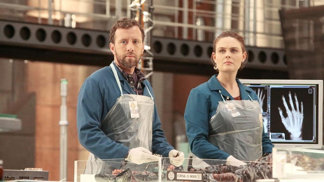 Vignette du programme télé Bones