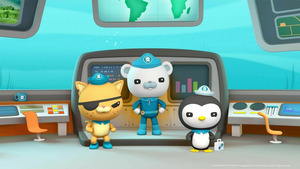 Vignette du programme télé Les Octonauts (Les Octonauts et les bébés tortues de mer) S4 (4/26)
