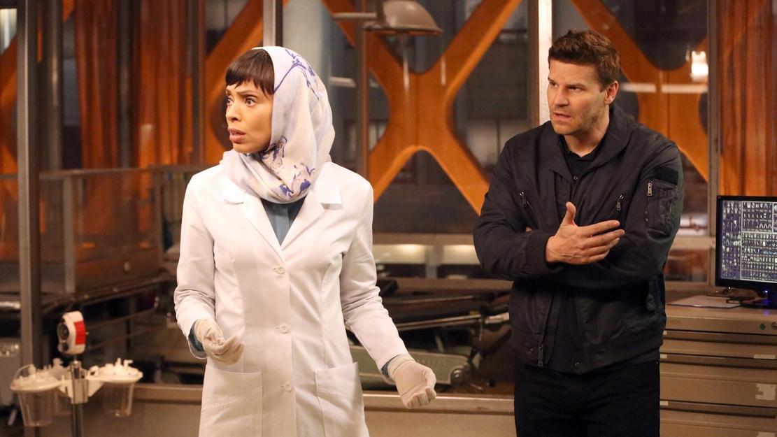 Vignette du programme télé Bones