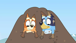 Vignette du programme télé Bluey (La terre) S3 (36/50)