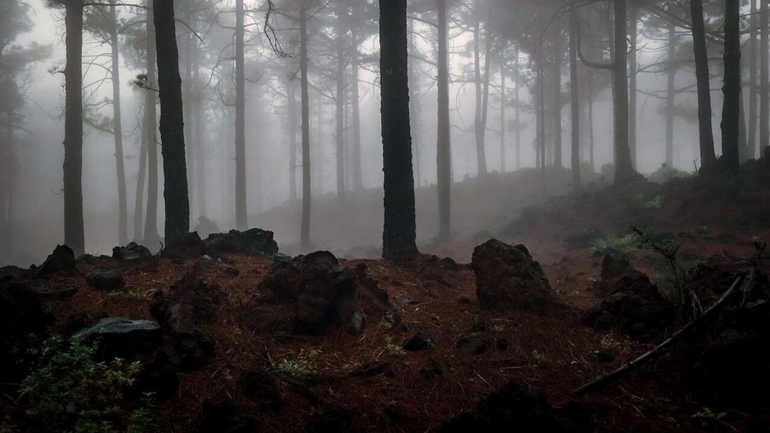 Vignette du programme télé Canaries, les îles-volcans