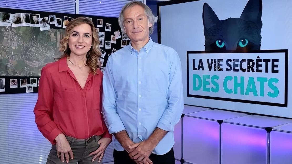 Vignette du programme télé La vie secrète des chats
