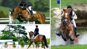 Vignette du programme télé Equitation : Saut d'obstacles international Paris