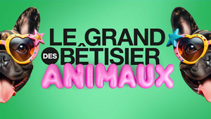 Vignette du programme télé Le grand bêtisier des animaux S1