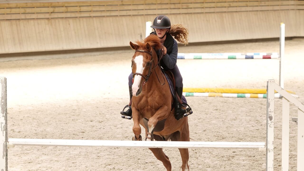 Vignette du programme télé Au galop !