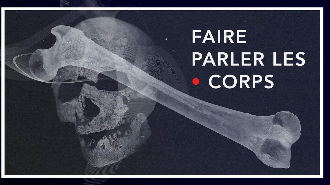 Vignette du programme télé Planète Archéo