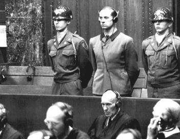 Vignette du programme télé La traque des nazis - Le dernier combat