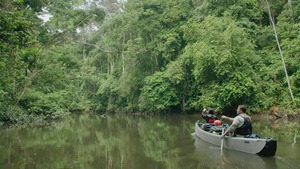 Vignette du programme télé Explorations de l'extrême (Gabon : le parc national de Moukalaba-Doudou) S2 (4/6)