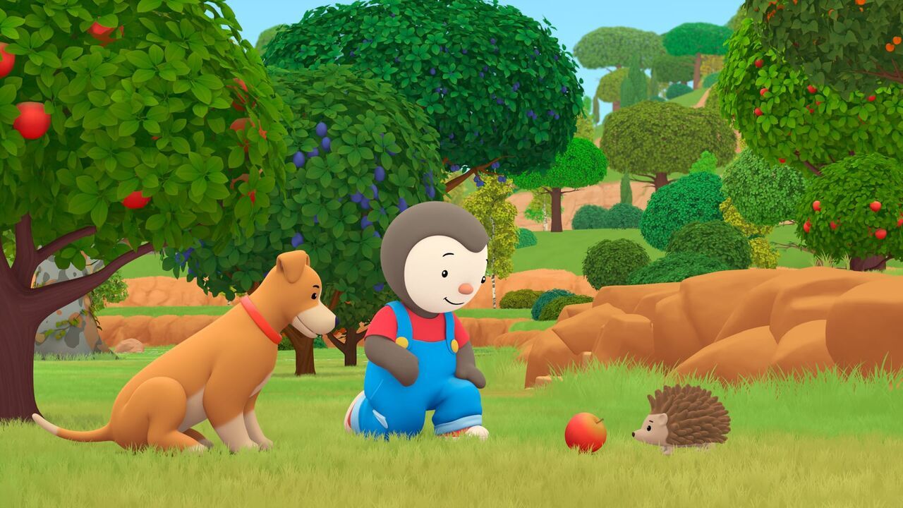 Vignette du programme télé T'choupi à la campagne