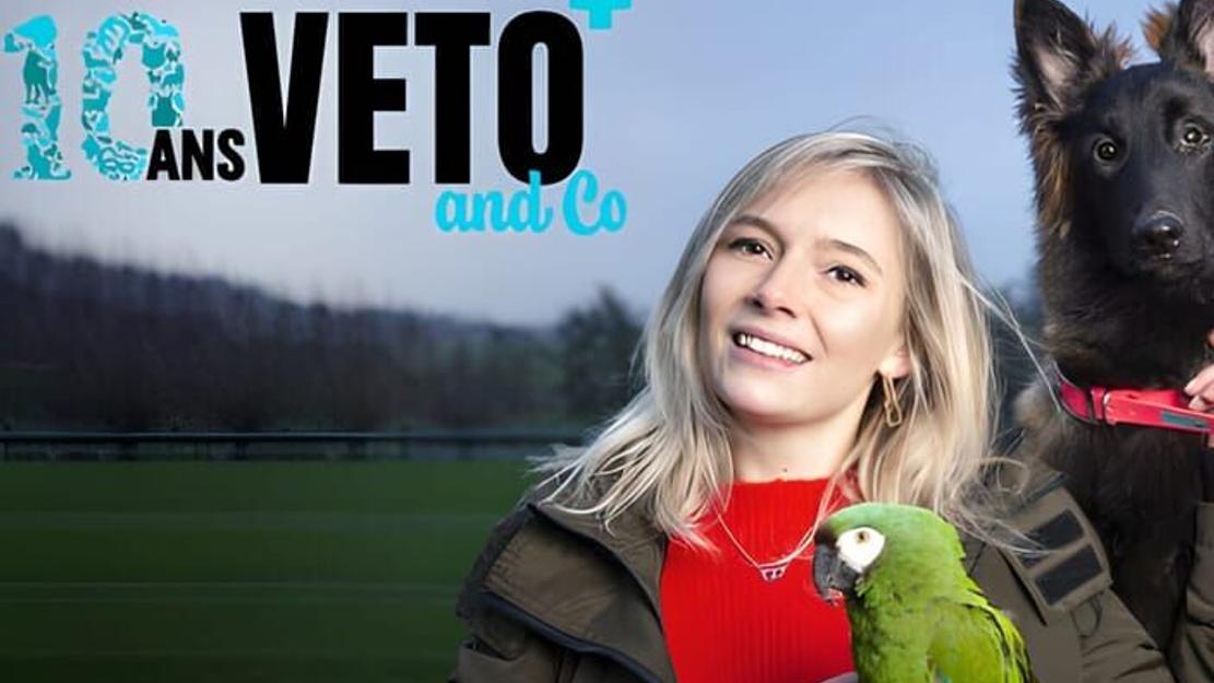 Vignette du programme télé Véto & Co