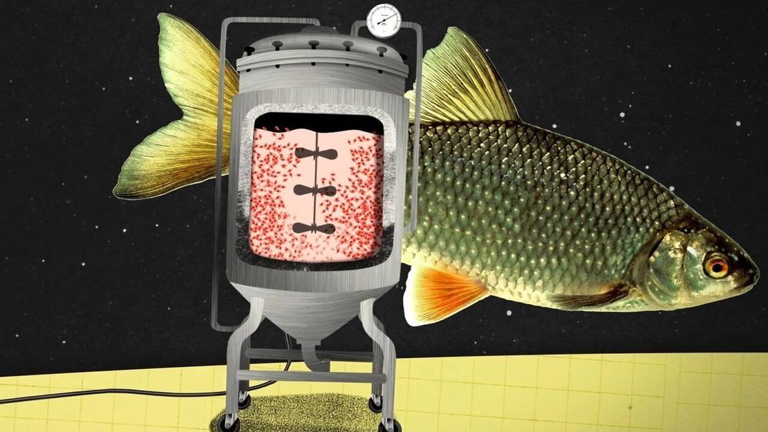 Vignette du programme télé 42, la réponse à presque tout