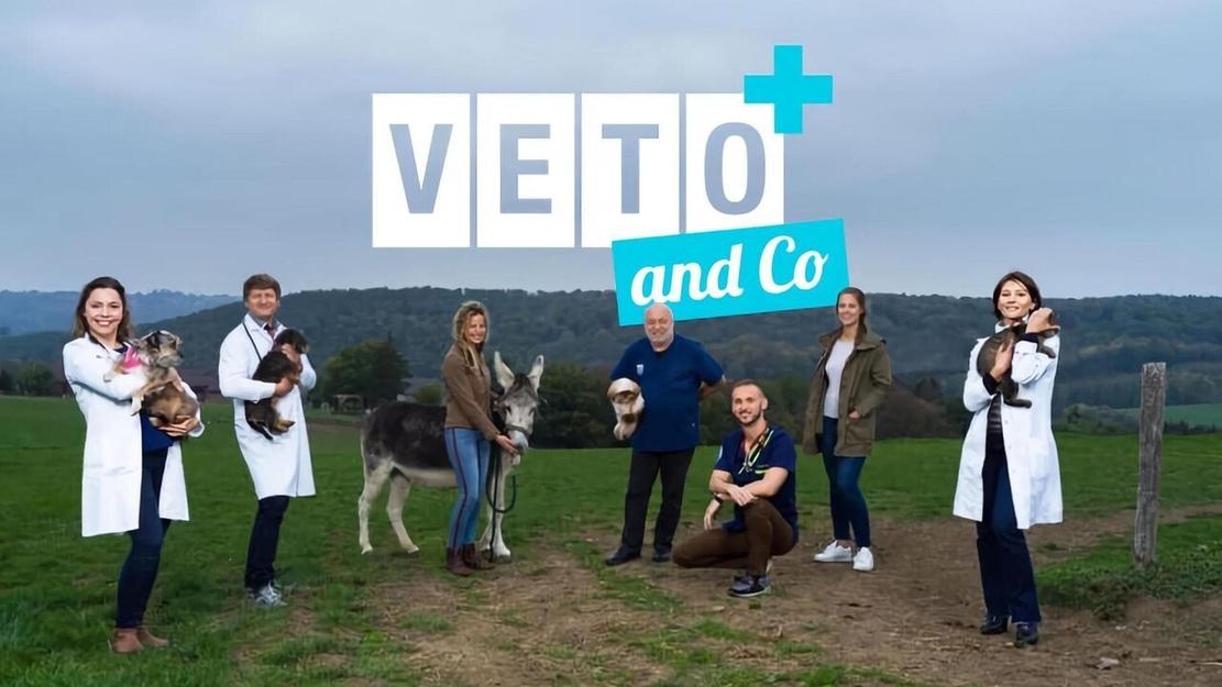 Vignette du programme télé Véto & Co