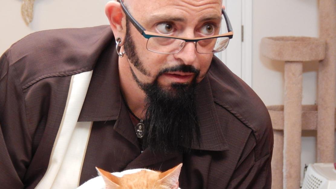 Vignette du programme télé Hell's Cats