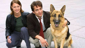 Vignette du programme télé Rex, chien flic (Droits d'auteur) S7 (10/10)