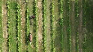 Vignette du programme télé Les 100 lieux qu'il faut voir (Le sentier Cathare, de l'Ariège à la Méditerranée) S9 (8/10)