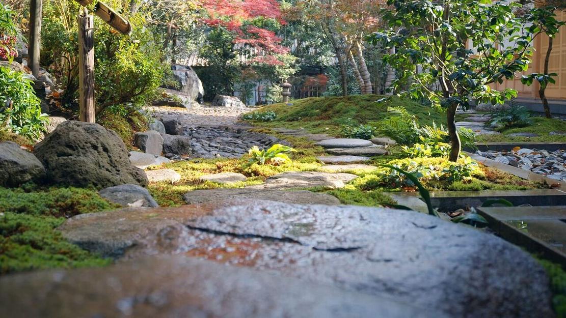 Vignette du programme télé La nature, l'art et nous