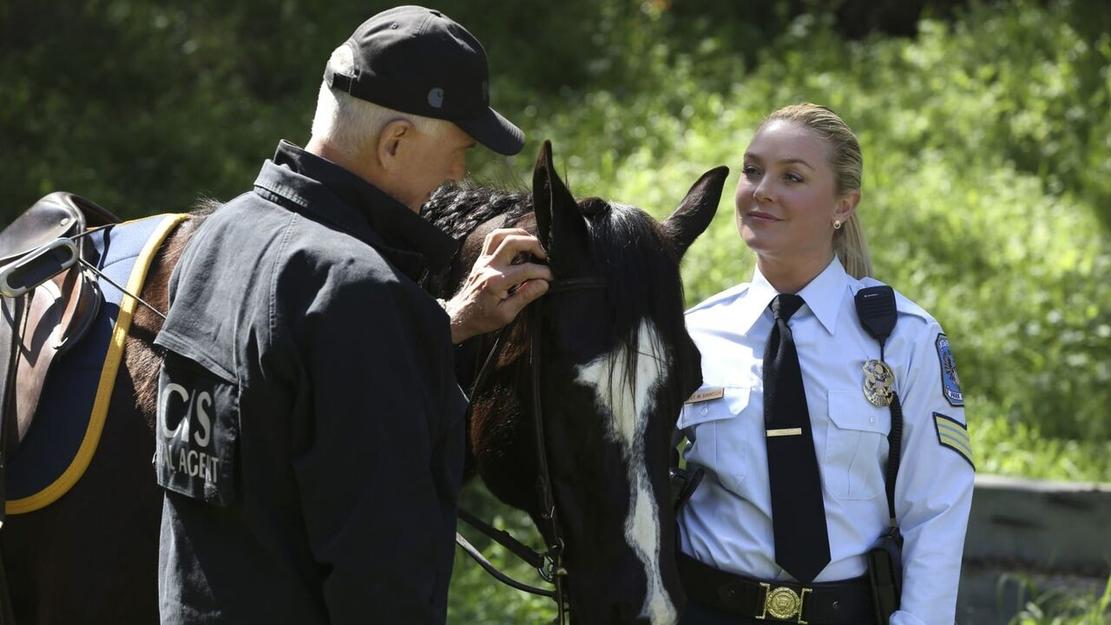 Vignette du programme télé NCIS
