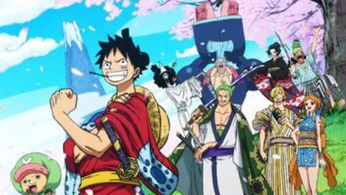 Vignette du programme télé One Piece