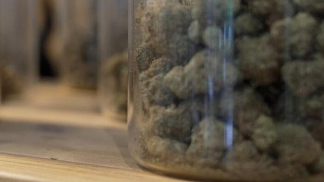 Vignette du programme télé Cannabis, un paradoxe français