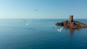Vignette du programme télé Les 100 lieux qu'il faut voir (Balade provençale, du Verdon à l'Esterel) S9 (2/10)