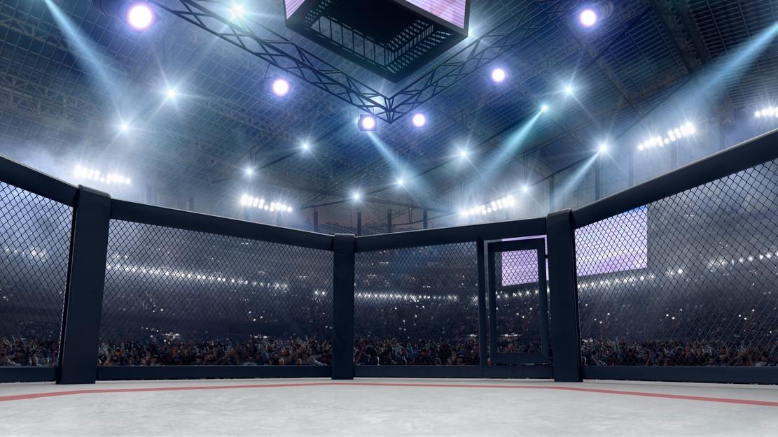 Vignette du programme télé MMA : UFC Classiques