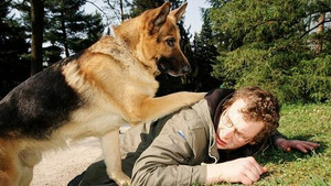 Vignette du programme télé Rex, chien flic (Suicides suspects) S9 (5/13)