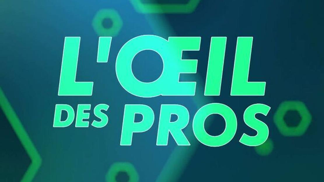 Vignette du programme télé L'oeil des pros