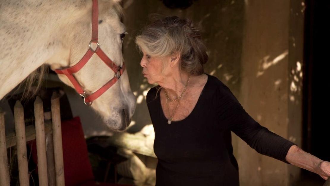 Vignette du programme télé Brigitte Bardot, le serment fait aux animaux