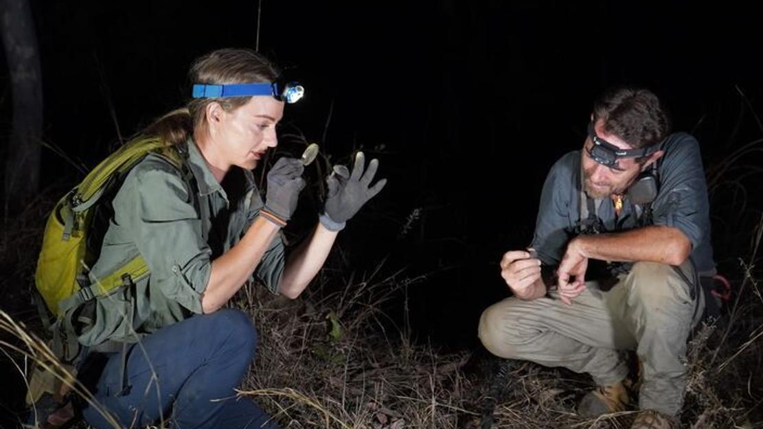 Vignette du programme télé Australie, la ruée vers l'or