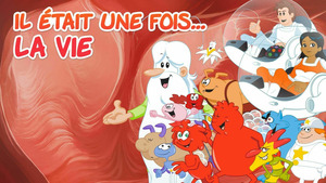 Vignette du programme télé Il était une fois... la vie (Les reins) S1 (17/26)