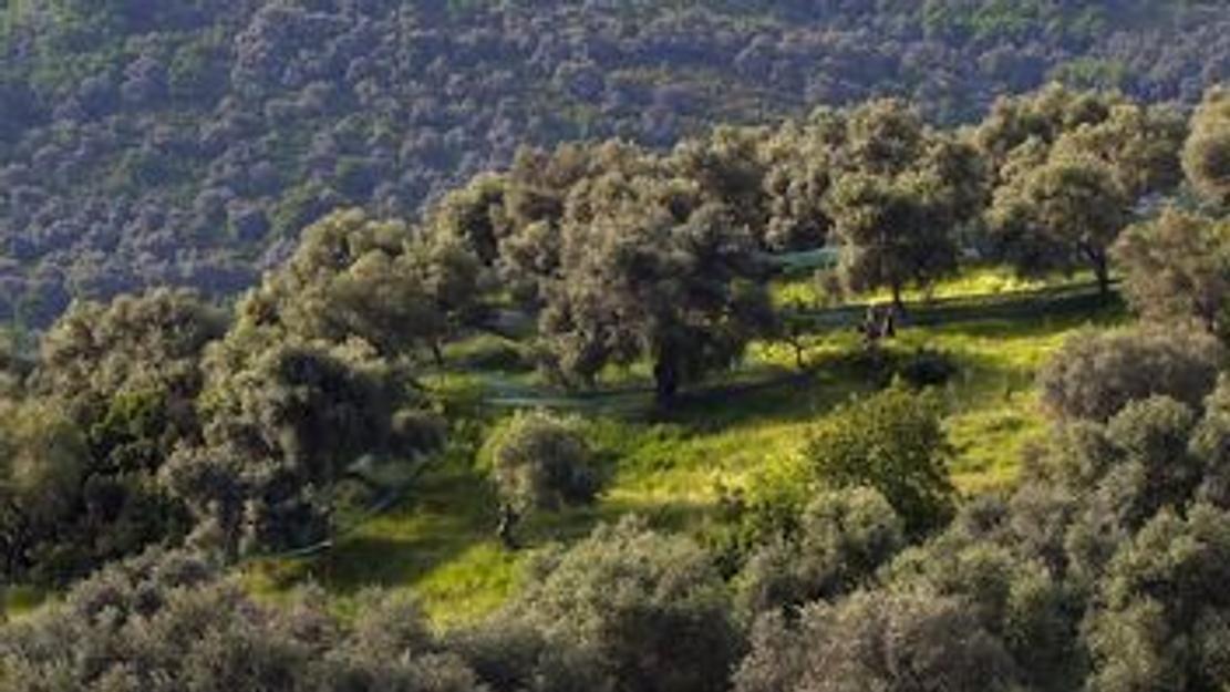 Vignette du programme télé La Corse, beauté sauvage