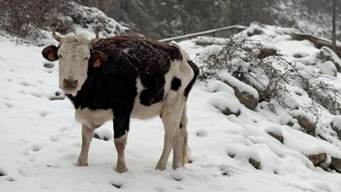 Vignette du programme télé La Corse, beauté sauvage
