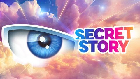 Vignette du programme télé Secret Story, la quotidienne
