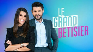 Vignette du programme télé Le grand bêtisier