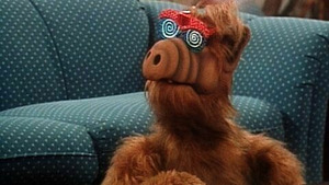 Vignette du programme télé Alf (Pas de panique!) S1 (19/26)