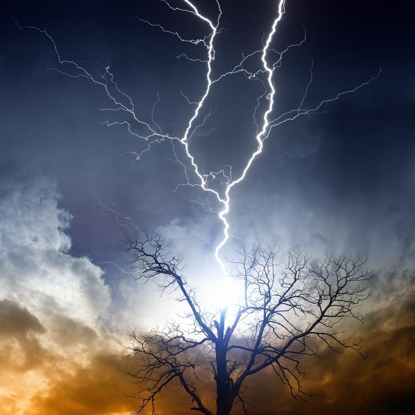 Vignette du programme télé Météo