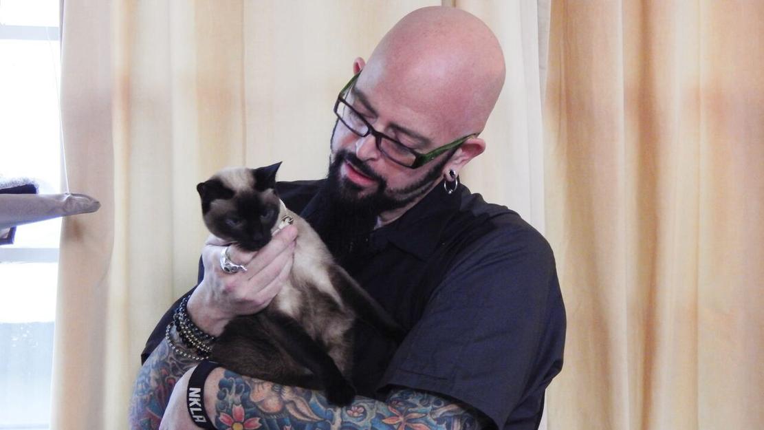 Vignette du programme télé Hell's Cats